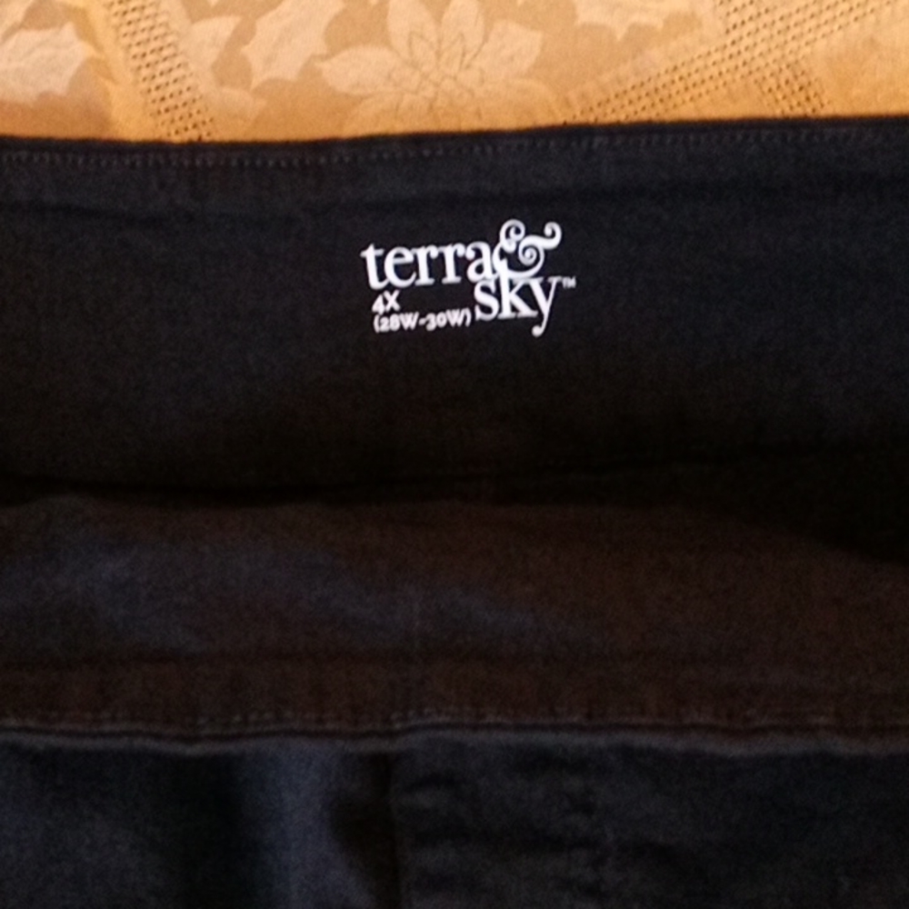 Men's Shorts by terra and sky 4X 28W-30W - Picture 4 of 4